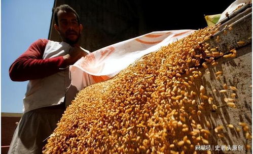 深層戰(zhàn)略還是表象目標(biāo)？聯(lián)合國高官揭露以色列軍事行動(dòng)的真實(shí)意圖