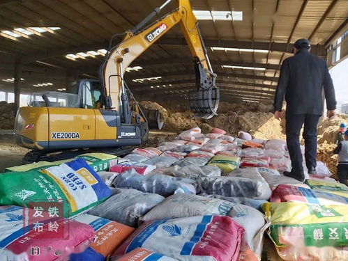 我市集中銷毀8萬斤假劣種子，強(qiáng)化農(nóng)作物種子市場監(jiān)管