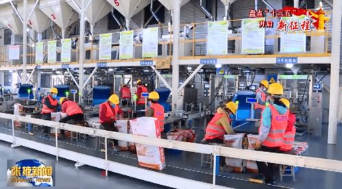 張掖 農(nóng)作物種子經(jīng)營助力增收致富